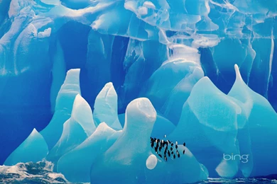 Bing Wallpapers For Nature Lovers Wallpapers   4