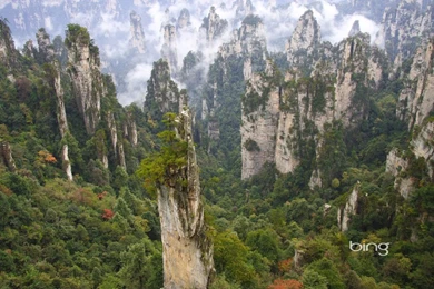 Wallpapers Collection 19 BING By ThefirstFirefox On DeviantArt