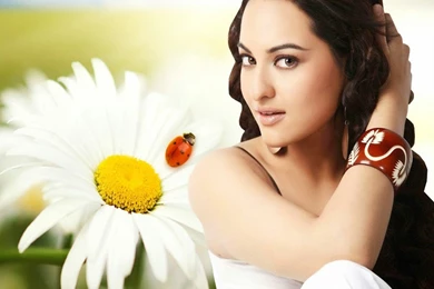 Top 10 Sonakshi Sinha HD Wallpapers