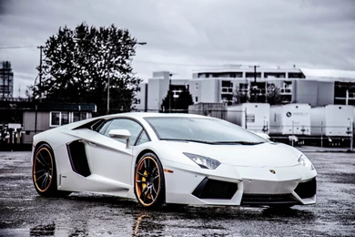 Lamborghini Wallpapers Hd 806   WallPey