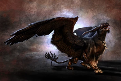 Prince Of Persia: Warrior Within Computer Wallpapers, Desktop ...