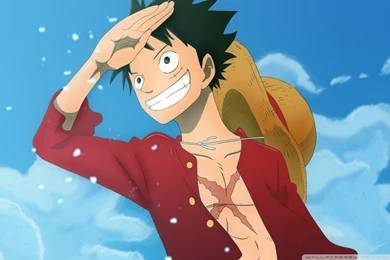 One Piece, Monkey D. Luffy II HD Desktop Wallpapers : High ...