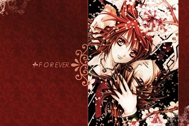 Kaname And Yuuki   Vampire Knight   Yuki + Kaname Wallpapers ...