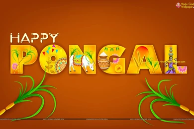 Pongal Wallpapers On Pinterest