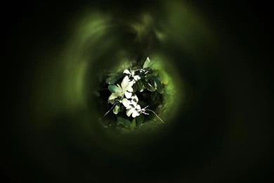 Pic New Posts: Wallpapers To PC