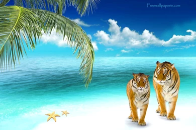 Private Beach Wallpapers Download   Free Wallpapers In