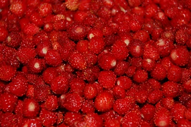 Berry Wallpapers   HotFreeWallpaper.com