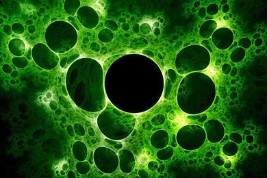 724633 Virus Wallpapers