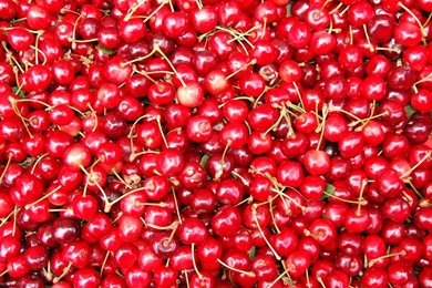 Desktop Berry Fruit Pics Wallpapers