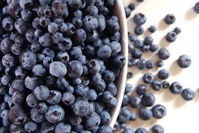 Berry Blueberry Hd Wallpapers Wallpapers