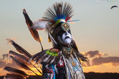 Free Full HD Wallpapers Download: Computer Desktop Wallpapers ...