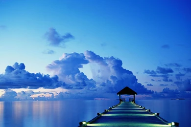 Free Screensavers And Wallpapers   7Screensavers.com