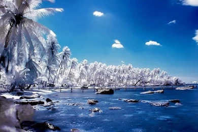 Digital Landscape Wallpapers 2   Wallcoo.net