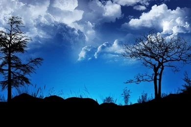 Free Screensavers And Wallpapers   7Screensavers.com