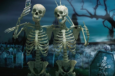 Free HD Fantasy Wallpapers Download   Free Wallpapers In