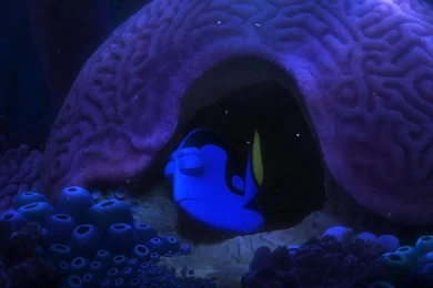 Most Viewed Wallpapers