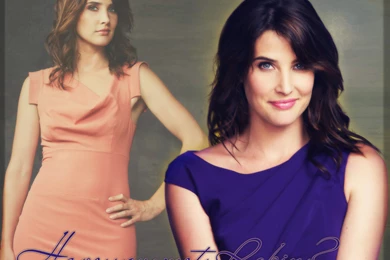 Himym Cast   How I Met Your Mother Wallpapers (22354955)   Fanpop