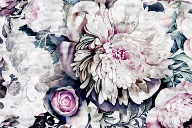 Ellie Cashman Wallpapers