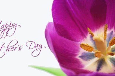 Happy Mothers Day 2014