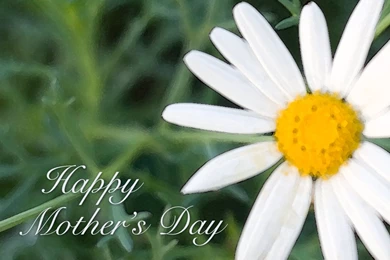 Mother's Day Wallpapers For Your Desktop, Web Site Or Blog By SL ...