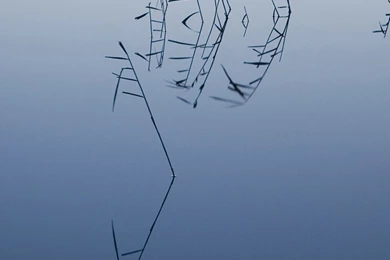 Minimal iPhone 6 Wallpapers