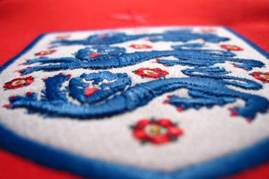 Three Lions 3 By Cato86 On DeviantArt