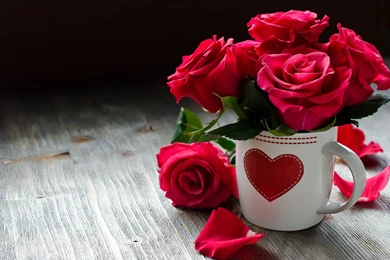 Rose Diseases Red Flowers Wallpapers For Desktop & Mobile