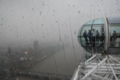 Rain Drops On The Window Wallpapers   Photography Wallpapers