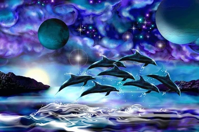 Beautiful Amazing Wallpapers