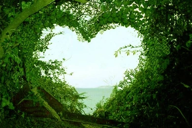 64 Amazingly Beautiful HD Wallpapers For Your DesktopAdvisor For ...