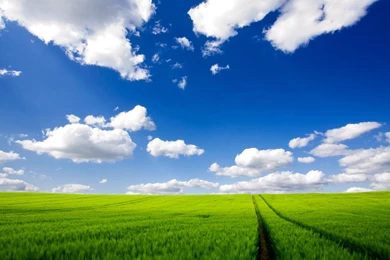Windows Xp Wallpapers