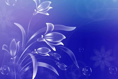 Beautiful Backgrounds Pictures   Wallpapers Cave