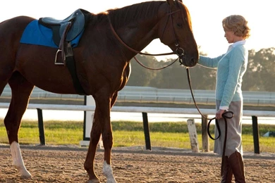 Great Quotes From Secretariat. QuotesGram