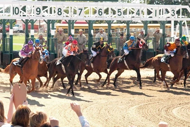 Secretariat HD Wallpapers (1)