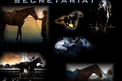 Secretariat By Sdierws8 On DeviantArt