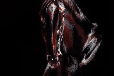 Secretariat By ElusiveDreams07 On DeviantArt