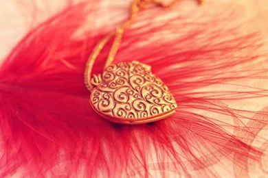 Heart Pendant With Red Feather HD Wallpapers