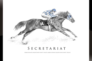 Secretariat Drawing