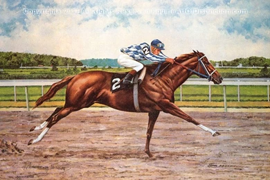 Quotes From Secretariat Horse Racing. QuotesGram