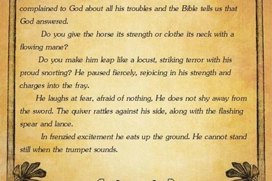 Secretariat Quotes. QuotesGram