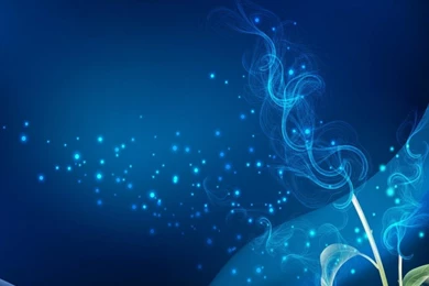 High Quality Mobile Wallpapers   HD Wallpapers Pretty