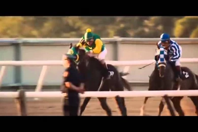 Niezwyciężony Secretariat   YouTube