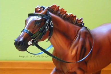 Racing Bridle For Secretariat By SirenForever On DeviantArt