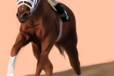 Secretariat Favourites By Bilella100 On DeviantArt