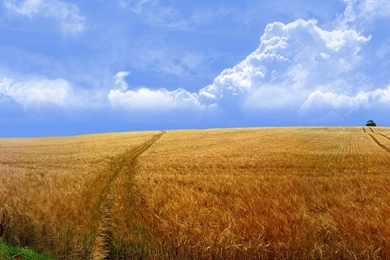 3360×1050 Desktop Wallpapers   Chaotic.signal