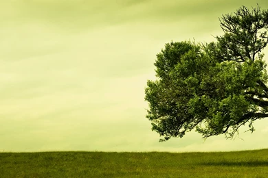 InterfaceLIFT: 3360x1050 Wallpapers Sorted By Comments