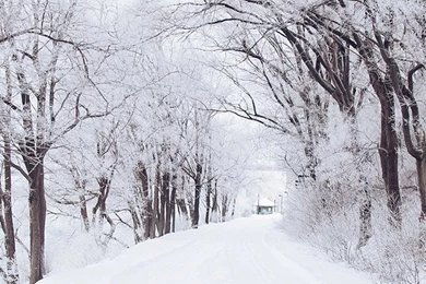 Snow iPhone 4s Wallpapers