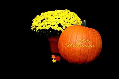 Free Halloween Computer Wallpapers   4 Items