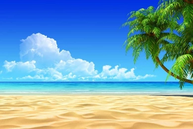 Download Beach Wallpapers For Desktop 850x576.jpg