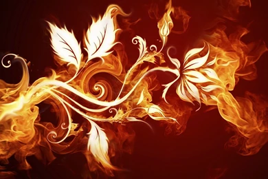 Best Wallpapers HGR040 – Wallpaperjosh